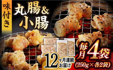 【全12回定期便】【塩だれ】 九州産和牛 ホルモン 2種 計1kg（ 小腸 250g×2袋・ 丸腸 250g×2袋） 長与町/岩永ホルモン [EAX157]国産 牛肉 ミックス 小分け 味付き 冷凍 焼肉