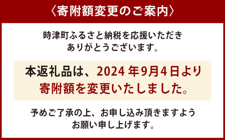 春の柑橘 不知火 約3kg 秀品 【2025年2月下旬発送～3月下旬迄発送予定】