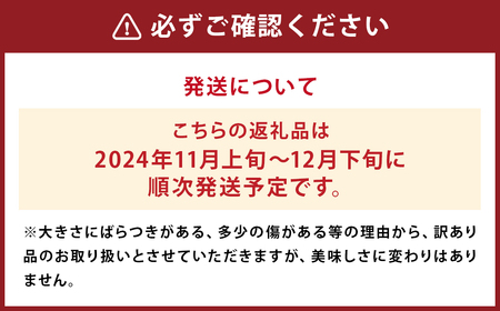 【訳あり】 太陽と潮風を浴びて育った 長崎県時津町産 温州みかん 約5kg【2024年11月上旬～2024年12月下旬迄発送予定】