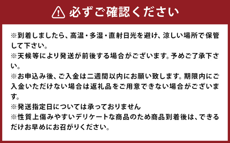 【訳あり】 太陽と潮風を浴びて育った 長崎県時津町産 温州みかん 約5kg【2024年11月上旬～2024年12月下旬迄発送予定】