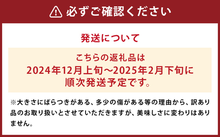 【訳あり】 太陽と潮風を浴びて育った 長崎県時津町産 温州みかん 約10kg 【2024年12月上旬～2025年2月下旬迄発送予定】