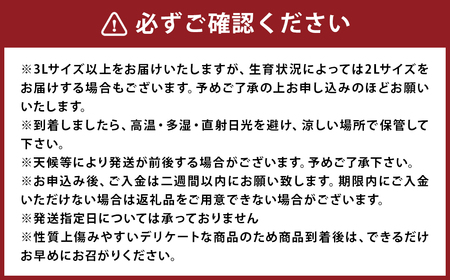 【訳あり】 太陽と潮風を浴びて育った 長崎県時津町産 温州みかん 約10kg 【2024年12月上旬～2025年2月下旬迄発送予定】