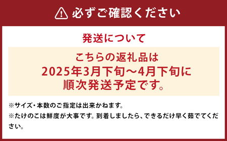 【数量限定】たけのこ 約3kg 採れたてを産地直送でお届け！ぬか・とうがらし付【2025年3月下旬～4月下旬迄発送予定】