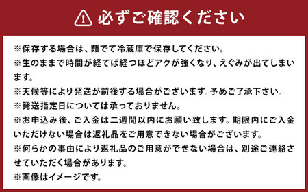 【数量限定】たけのこ 約3kg 採れたてを産地直送でお届け！ぬか・とうがらし付【2025年3月下旬～4月下旬迄発送予定】