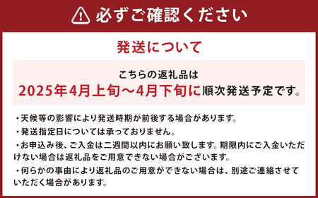 長崎 高級ハウスびわ 500g 化粧箱入り 枇杷【初夏の風物詩】【2025年4月上旬～4月下旬迄発送予定】 びわ 枇杷 果物 フルーツ 贈り物 ギフト