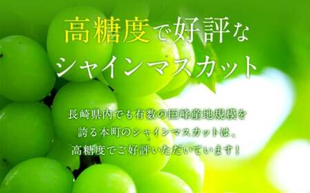 【2024年8月下旬より順次発送開始】長崎県産 シャインマスカット 約1.5kg ぶどう フルーツ