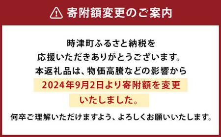 【2025年2月発送】カスタードプリン 80g×16個 セット 浜んまちPUDDING