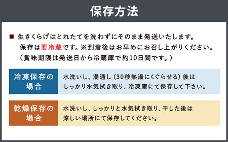 国産 生きくらげ 1kg（ご家庭用）【2026年5月下旬～6月下旬迄発送予定】