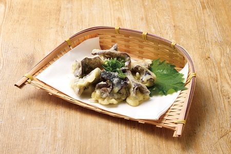 国産 生きくらげ 1kg（ご家庭用）【2026年5月下旬～6月下旬迄発送予定】