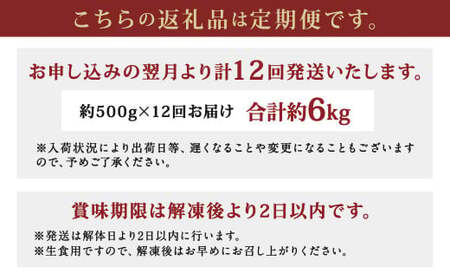 【12ヶ月定期便】 長崎県産 本マグロ「中トロ」約500g【大村湾漁業協同組合】