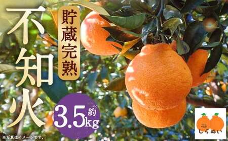 【数量限定】貯蔵 完熟不知火 約3.5kg【2025年3月上旬～4月上旬迄発送予定】  不知火 フルーツ 果物 蜜柑 柑橘 国産 長崎県産 九州産 デコポンと同一品種