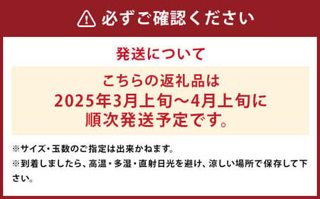 【数量限定】貯蔵 完熟不知火 約3.5kg【2025年3月上旬～4月上旬迄発送予定】  不知火 フルーツ 果物 蜜柑 柑橘 国産 長崎県産 九州産 デコポンと同一品種