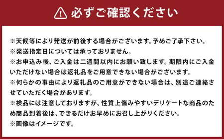 【数量限定】貯蔵 完熟不知火 約3.5kg【2025年3月上旬～4月上旬迄発送予定】  不知火 フルーツ 果物 蜜柑 柑橘 国産 長崎県産 九州産 デコポンと同一品種