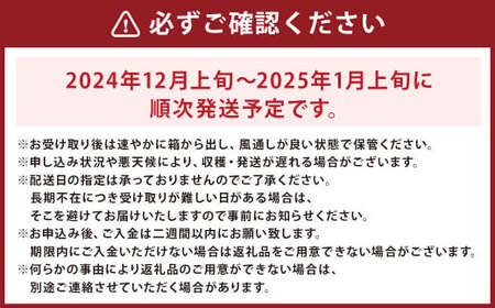 長崎みかん 約10kg 温州みかん 糖度10度 青島 大津 【長崎西彼農業協同組合】 長崎県産 くだもの 果物 フルーツ【2024年12月上旬～2025年1月上旬迄発送予定】