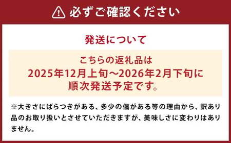 【訳あり】 太陽と潮風を浴びて育った 長崎県時津町産 温州みかん 約10kg 【2025年12月上旬~2026年2月下旬に順次発送予定】