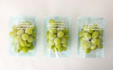 訳あり ご家庭用 シャインマスカット 3パック 約1kg【2026年8月下旬～9月下旬迄発送予定】ぶどう 葡萄 ブドウ 果物 フルーツ