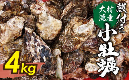 大村湾産 殻付き 小牡蠣 加熱用 Cセット 約4kg 長崎 カキ かき 冷蔵 【2026年2月上旬～3月下旬順次発送予定】