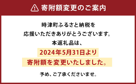 異人堂カステラ 長崎かすてら 詰め合わせ 3種類 580g×各1本