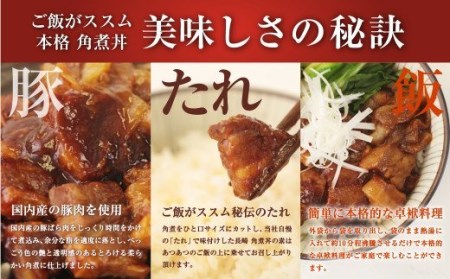 長崎 角煮丼の素 85g×10袋 計850g 豚バラ肉 卓袱 国産