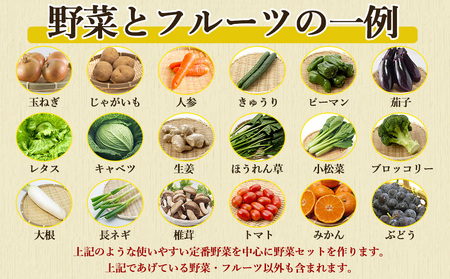 【定期便 偶数月コース】野菜のプロ40年が届ける 厳選野菜セット！ 野菜・フルーツ 15～16品目 詰め合わせ