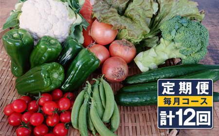 【定期便 12回コース】野菜のプロ40年が届ける こだわり野菜セット！ 7～8品目 詰め合わせ