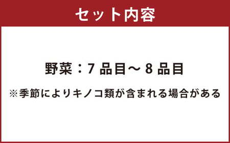 【定期便 12回コース】野菜のプロ40年が届ける こだわり野菜セット！ 7～8品目 詰め合わせ