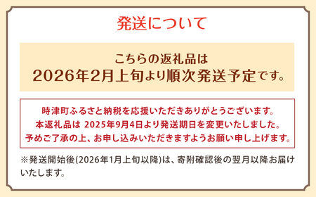 【定期便 偶数月コース】野菜のプロ40年が届けるこだわり野菜セット！ 7～8品目 詰め合わせ 【2026年2月上旬より発送開始】