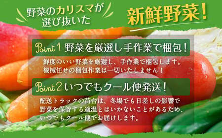 定期便 偶数月コース】野菜のプロ40年が届けるこだわり野菜