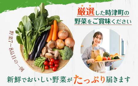 【定期便 偶数月コース】野菜のプロ40年が届けるこだわり野菜セット！ 7～8品目 詰め合わせ 【2026年2月上旬より発送開始】