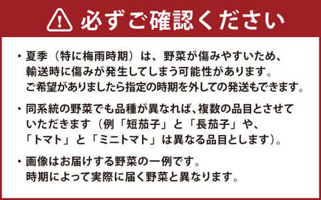 【定期便 奇数月コース】野菜のプロ40年が届ける こだわり野菜セット！ 7～8品目 詰め合わせ