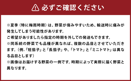 野菜のプロ40年が届けるこだわり野菜セット！ 7～8品目 詰め合わせ 【2026年1月上旬より順次発送予定】