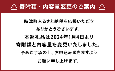 職人手作り 角煮家こじまのこだわり角煮 60g ×5個 完全無添加 保存料 化学調味料 不使用