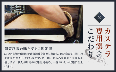 【3ヶ月定期便】 長崎カステラ 0.5号 (290g) 2本入り 異人堂