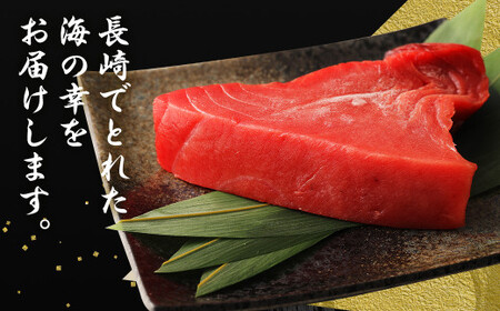 【12ヶ月定期便】長崎県産 本マグロ 赤身 300g 2人前～3人前 鮪 魚 刺身 【大村湾漁業協同組合】