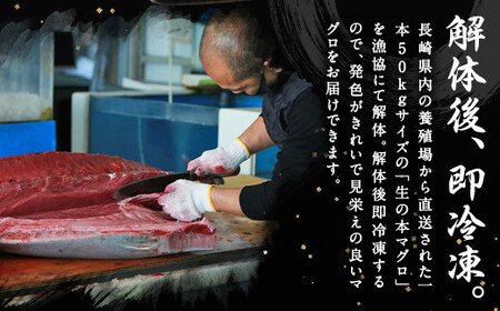 【3ヶ月定期便】長崎県産 本マグロ 赤身 500g 鮪 魚 刺身 【大村湾漁業協同組合】