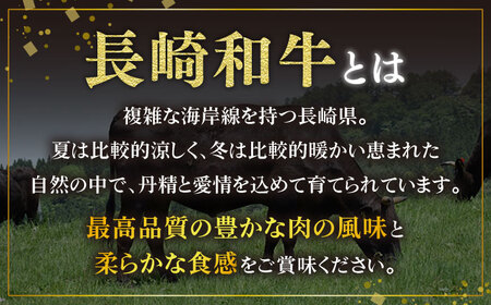 【2回定期便】長崎和牛 ヒレ 120×3枚 ヒレステーキ ヒレ フィレ ステーキ肉 大人気 希少部位 東彼杵町/有限会社大川ストアー [BAJ098]