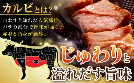 長崎和牛 焼肉用 カルビ 約500g 肉 お肉 牛肉 赤身 和牛 焼肉 BBQ 東彼杵町/黒牛 [BBU010]