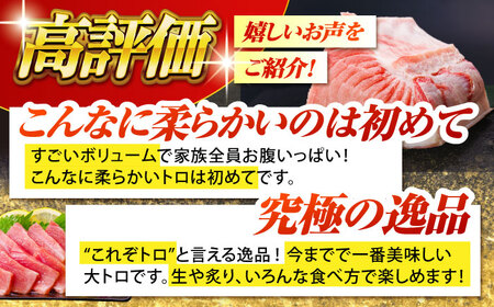 長崎県産 本マグロ「大トロ」(約600g) /マグロ まぐろ マグロ 大トロ マグロ まぐろ マグロ 鮪 まぐろ マグロ さしみ マグロ まぐろ マグロ 刺身 マグロ まぐろ マグロ 刺し身 マグロ まぐろ マグロ 大トロ マグロ まぐろ マグロ セット マグロ 冷凍 マグロ まぐろ マグロ 大トロ マグロ まぐろ マグロ  まぐろ マグロ  まぐろ マグロ  まぐろ マグロ  まぐろ マグロ  まぐろ マグロ  まぐろ マグロ  まぐろ マグロ  まぐろ マグロ  まぐろ マグロ  まぐろ マグロ 東彼杵町/大村湾漁業協同組合 [BAK013]