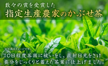 【2024新茶】そのぎ茶 (極上) 120g×5袋入り 東彼杵町/池田茶園 [BAL004] 茶 新茶 お茶 新茶 緑茶 新茶 日本茶 新茶 玉緑茶 新茶 茶 新茶 お茶 新茶 緑茶 新茶 日本茶 新茶 玉緑茶 新茶 茶 新茶 お茶 新茶 緑茶 新茶 日本茶 新茶 玉緑茶 新茶 茶 新茶 お茶 新茶 緑茶 新茶 日本茶 新茶 玉緑茶 新茶 茶 新茶 お茶 新茶 緑茶 新茶 日本茶 新茶 玉緑茶 新茶 茶 新茶 お茶 新茶 緑茶 新茶 日本茶 新茶 玉緑茶 新茶 茶 新茶 お茶 新茶 緑茶 新茶 日本茶 新茶 玉緑茶 新茶 茶 新茶 お茶 新茶 緑茶 新茶 日本茶 新茶 玉緑茶 新茶 茶 新茶 お茶 新茶 緑茶 新茶 日本茶 新茶 玉緑茶 新茶 茶 新茶 お茶 新茶 緑茶 新茶 日本茶 新茶 玉緑茶 新茶 茶 新茶 お茶 新茶 緑茶 新茶 日本茶 新茶 玉緑茶 新茶