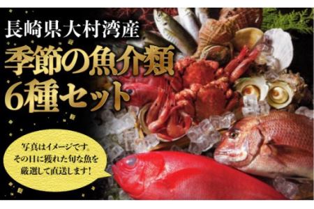 BAK018 【漁協直送!!】大村湾産 季節の魚介類詰合せセット【大村湾漁業協同組合】