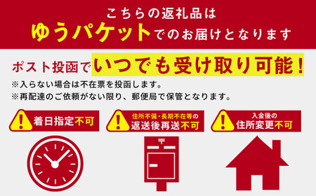 【農林水産大臣賞受賞茶園】3種ティーバッグセット/そのぎ茶 ほうじ茶 緑茶 紅茶 和紅茶 茶 ティーバッグ ティーパック 東彼杵町/中山茶園[BAS007]