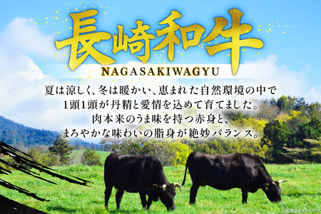 牛肉 和牛 長崎和牛 サーロインステーキ 225g 2枚 計450g [彼杵の荘 長崎県 東彼杵町 hs42bag270004]