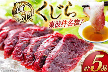 【鯨の町からお届け】 くじら 5品 詰め合わせ セット [彼杵の荘 長崎県 東彼杵町 hs42bag270006]