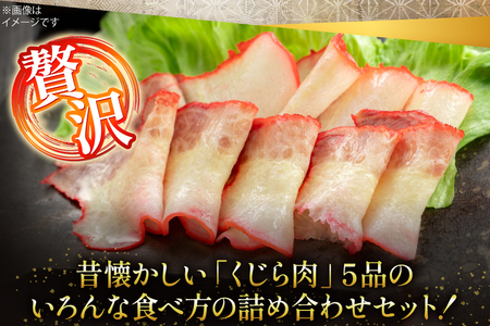 【鯨の町からお届け】 くじら 5品 詰め合わせ セット [彼杵の荘 長崎県 東彼杵町 hs42bag270006]