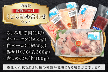 【鯨の町からお届け】 くじら 5品 詰め合わせ セット [彼杵の荘 長崎県 東彼杵町 hs42bag270006]