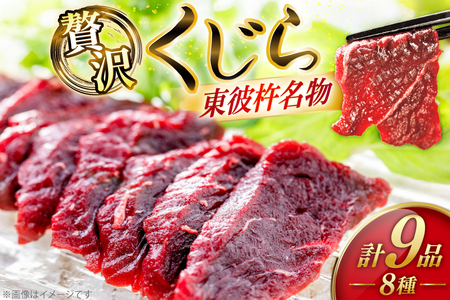 【鯨の町からお届け】 くじら 8品 詰め合わせ セット [彼杵の荘 長崎県 東彼杵町 hs42bag270007]