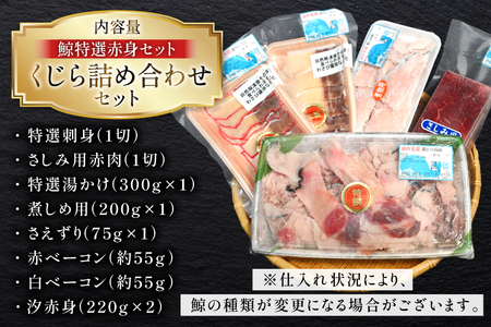 【鯨の町からお届け】 くじら 8品 詰め合わせ セット [彼杵の荘 長崎県 東彼杵町 hs42bag270007]