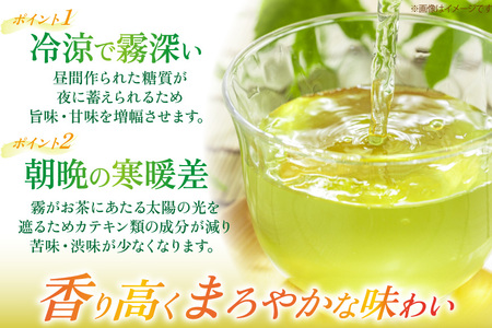 茶 お茶 緑茶 長崎 そのぎ茶 定期便 毎月 彼杵茶 玉緑茶 アルミボトル 290ml 24本 6回 総計144本 [彼杵の荘 長崎県 東彼杵町 hs42bag270040]