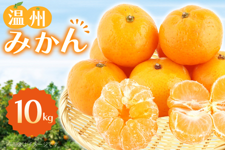 みかん 温州みかん 10kg 10キロ [彼杵の荘 長崎県 東彼杵町 hs42bag270045]