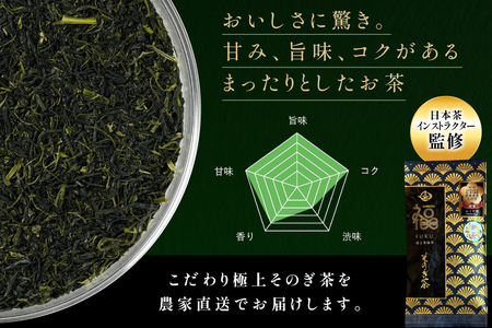 お茶 そのぎ茶 【TVで紹介！】そのぎ茶 (極上) 100g 3袋入 [ふくだ園 長崎県 東彼杵町 hs42bag770001]
